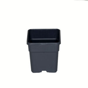 Wilma Blumentopf Plastik 11x11x19 cm – 1,65 l