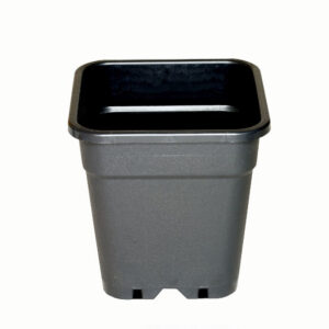 Wilma Blumentopf Plastik 31x31x32 cm – 18 l