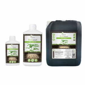Organics Nutrients Big Start 1 l – (mehrsprachiges Etikett inkl. DE)