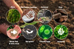 Living Soil