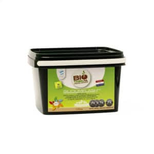 Biotabs Silicium Flash 1.25 kg NEW – (mehrsprachiges Etikett inkl. DE)