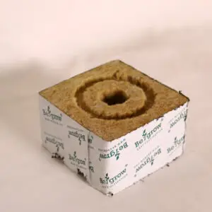 Begrow Anzuchtwürfel 100 × 100 × 65 mm – kleines Loch, 1 Stück