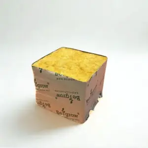 Begrow Anzuchtwürfel 75 × 75 × 65 mm – ohne Loch, 1 Stück