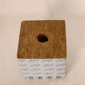 Begrow Anzuchtwürfel 150 × 150 × 142 mm – großes Loch, 1 Stück