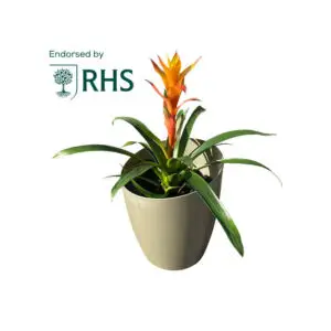 AutoPot KhlorisPot Erweiterungsset – Sage
