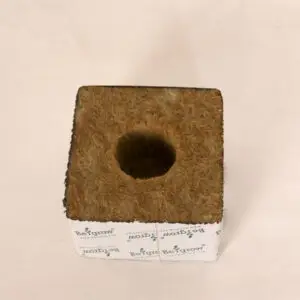 Begrow Anzuchtwürfel 75 × 75 × 65 mm – großes Loch, 1 Stück