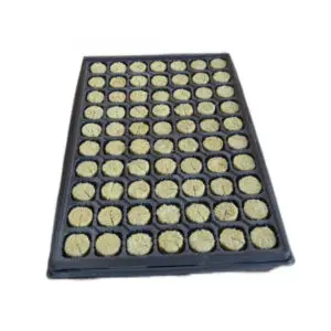 Begrow Anzuchtplugs 36 × 40 mm im Tray – 70 Stück