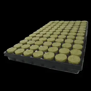 Agra-Wool Speedgrow BASIC Plug 38×40 mm – Anzuchtplatte 84 St.