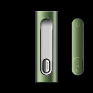 PAX FLOW Türersatz – Ersatzklappe für die Kammer, Greenstone