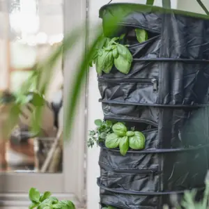 Kräuter-Trockner-Trockennetz XL, 5 Etagen, Filter und Ventilator