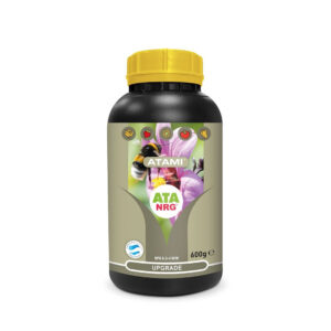 Atami ATA NRG Upgrade 3000 g
