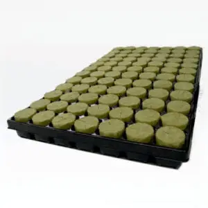 Agra-Wool Speedgrow BASIC Plug 38×40 mm – Anzuchtplatte 84 St.